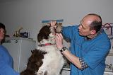 AUSCULTATION 065